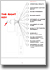 Annual financial statements