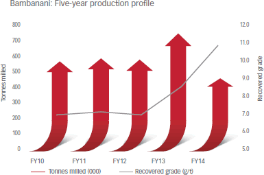 Bambanani: Five-year production profile [graph]