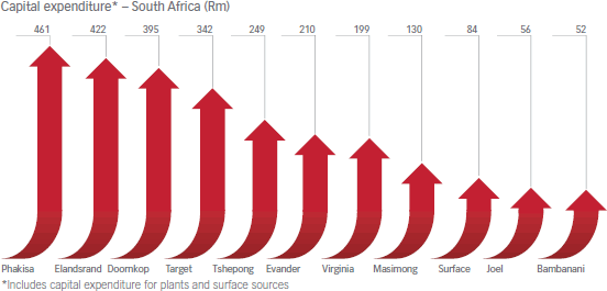 Capital expenditure* – South Africa (Rm)