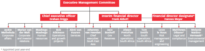 The Executive Management Committee structure