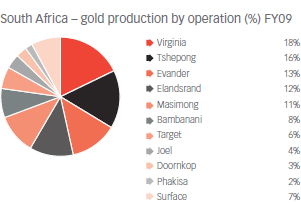 South Africa – gold production by operation (%) FY09