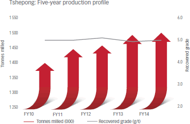 Tshepong: Five-year production profile