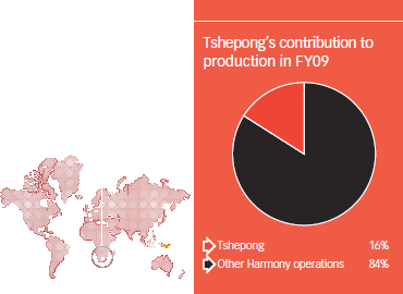 Tshepong’s contribution to production in FY09