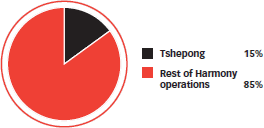 Contribution to group production – FY10