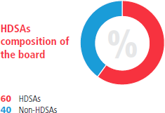 historically disadvantaged South Africans composition of the board [graph]