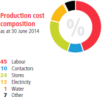 Production cost composition as at 30 June 2014