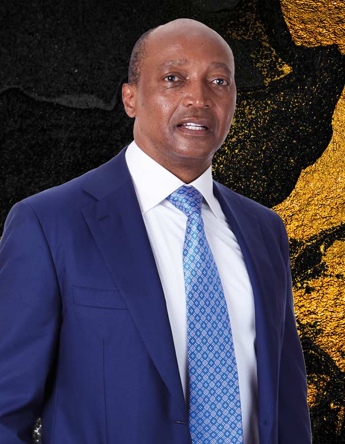 Patrice Motsepe, Chairman